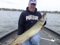 43 1/4\" Webster Lake May 5th