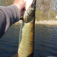 20160420_094017