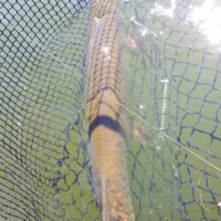 20160630_103039