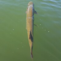 20160630_103230