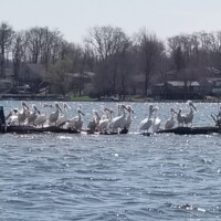 20190416_115101