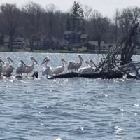 20190416_115121