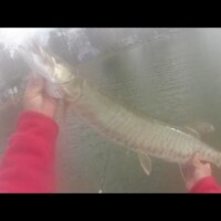 35-oct28th-loon