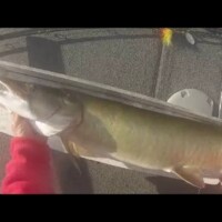 41half-loon-lake-oct-28th