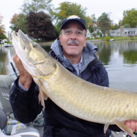 43" Spanky Bait