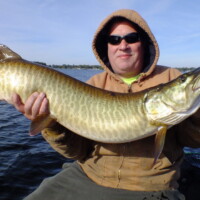46 1/2" Webster Lake
