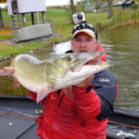 Nice heavy Indiana Muskie