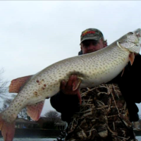 fat48lakestclair