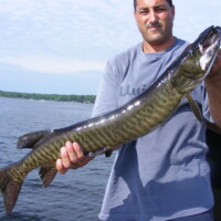 june5thfish2