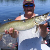 my28thfish6