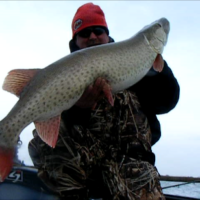stclair47inches